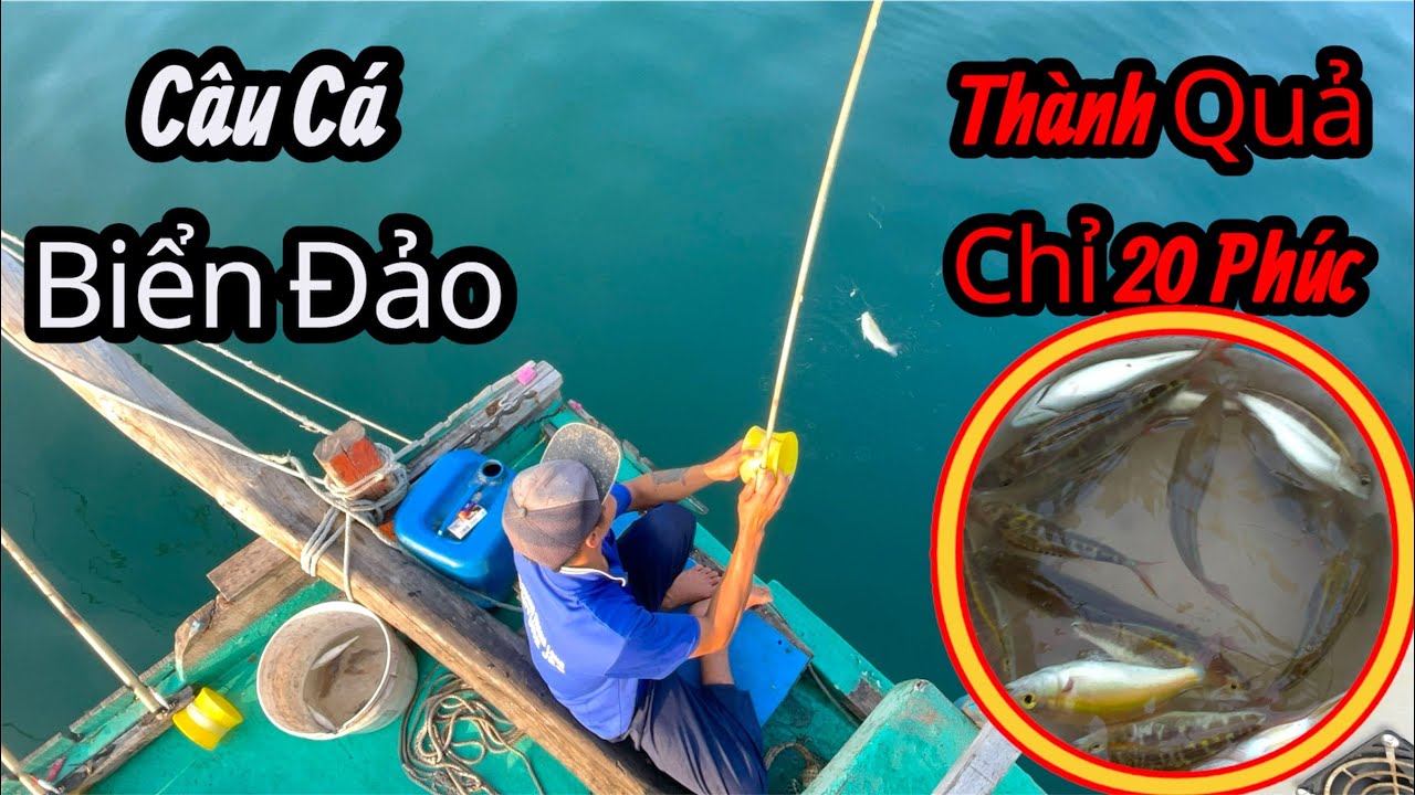 Câu Cá Biển Đảo Cá Quá Nhiều // Săn Bắt Biển Tây