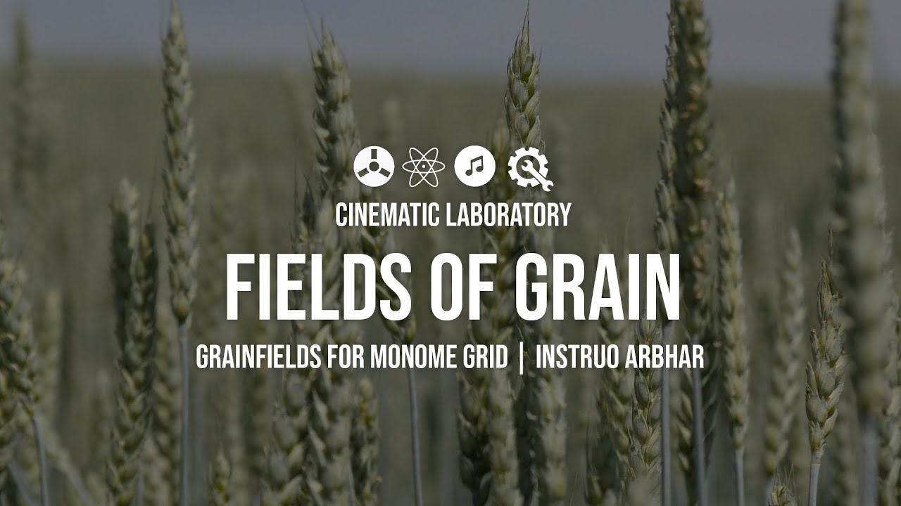 Fields of Grain | Monome Grid + Grainfields VST vs Instruo Arbhar.