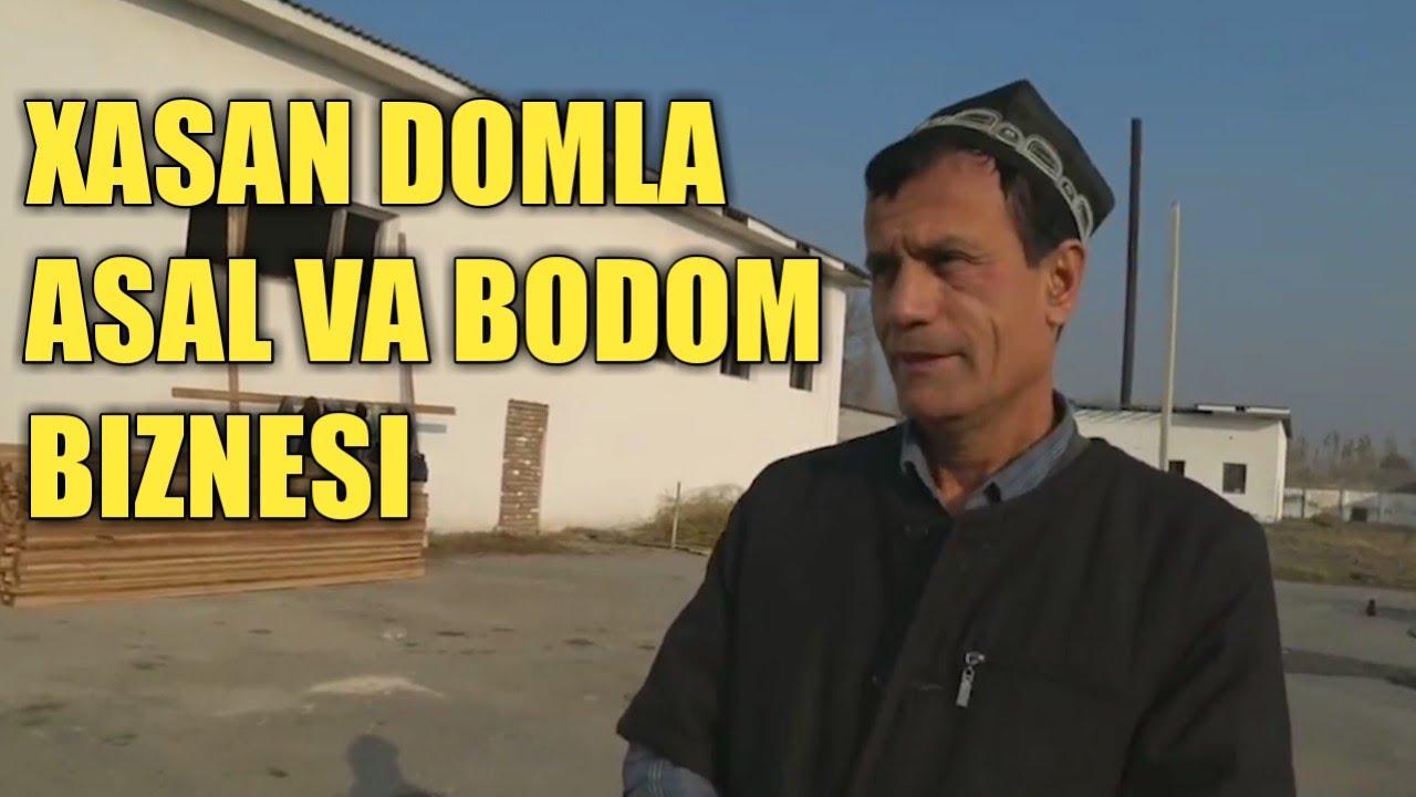 XASAN DOMLA ASAL VA BODOM BIZNESI YO'LGA QO'YDI