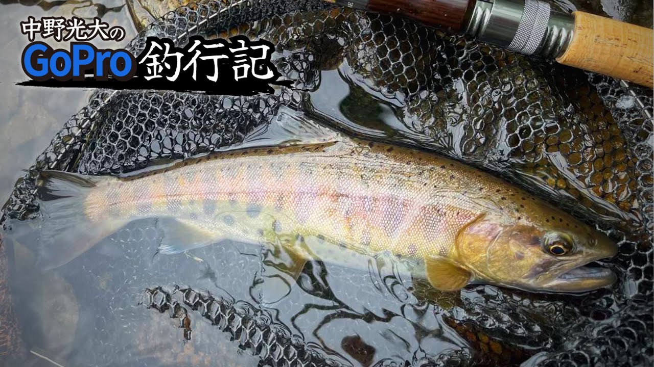 中野光大のGoPro釣果記(ダウンの攻め直しの有効性)