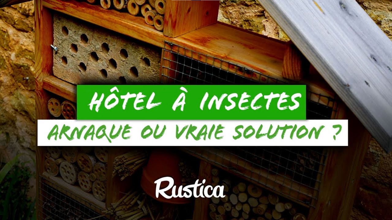 Hôtel à insectes, arnaque ou vraie solution ?