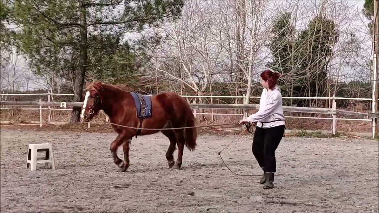 caro et lorelei