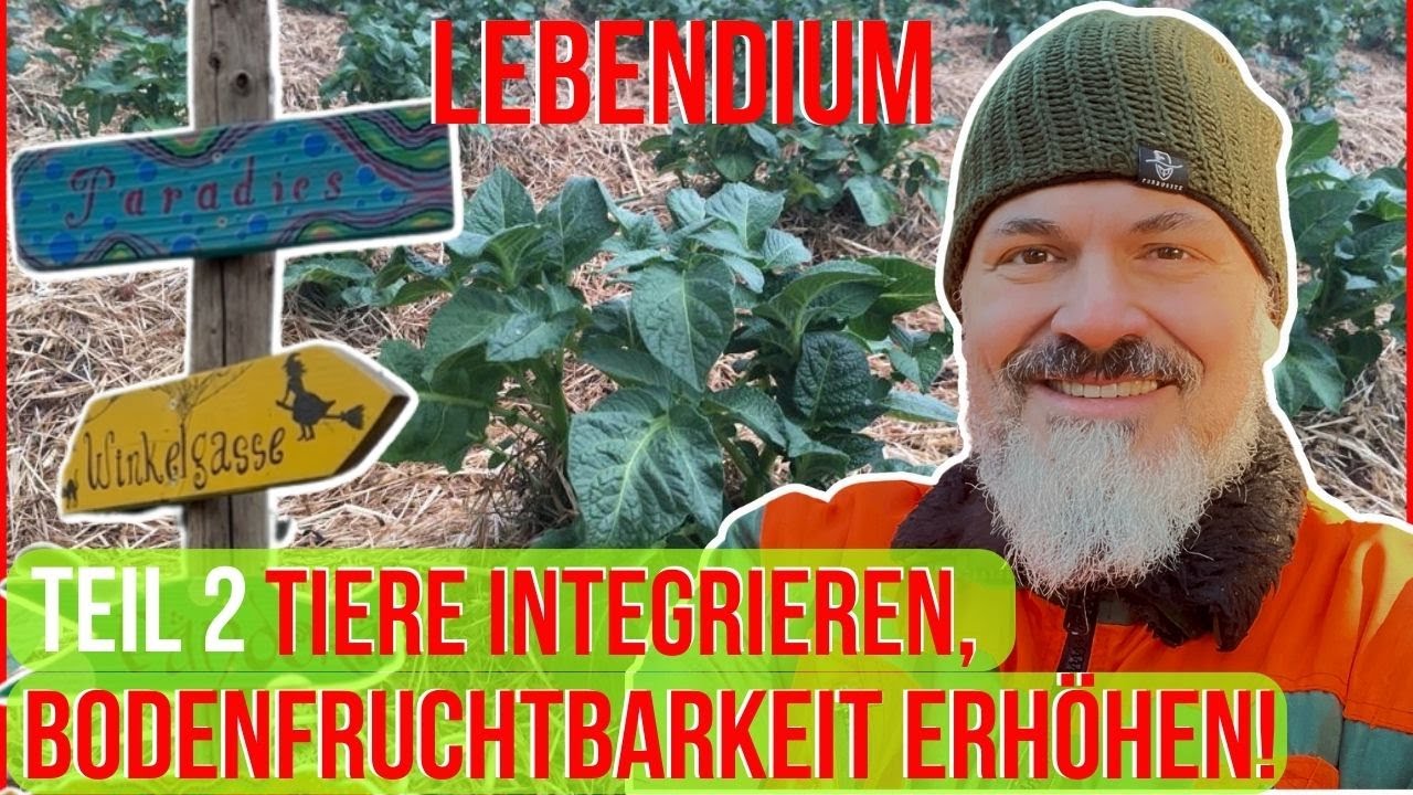 Lebendium Permacultur, Kreisl&auml;ufe schlie&szlig;en, alte Haustierrassen Boden gut machen! @LEBENDIUM