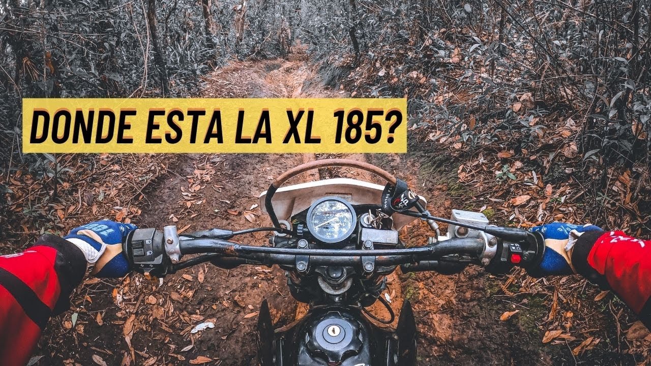 Suzuki DRX 200 VS Honda XL185  | OFF ROAD | ENDURO