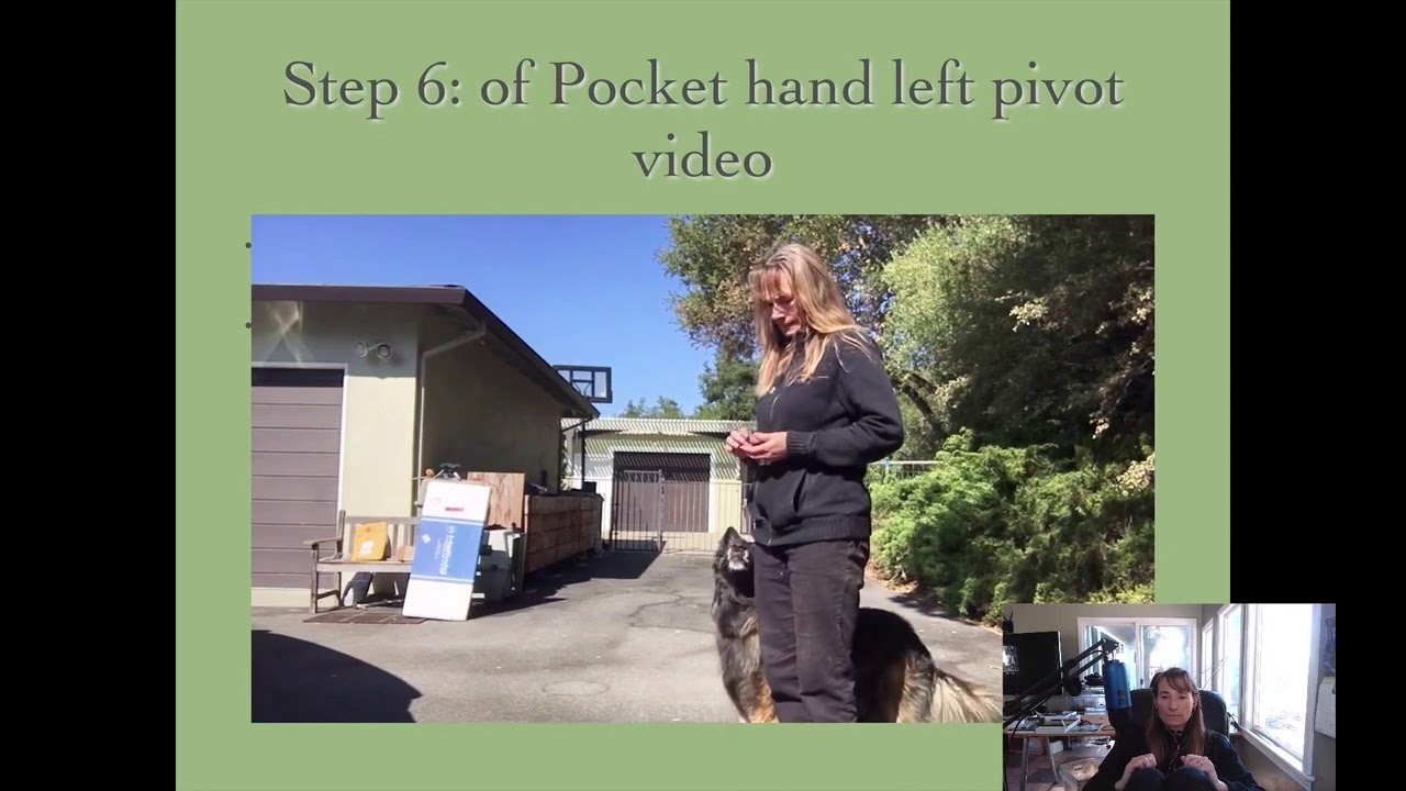 FDSA Workshop: Denise Fenzi- Precision Heeling