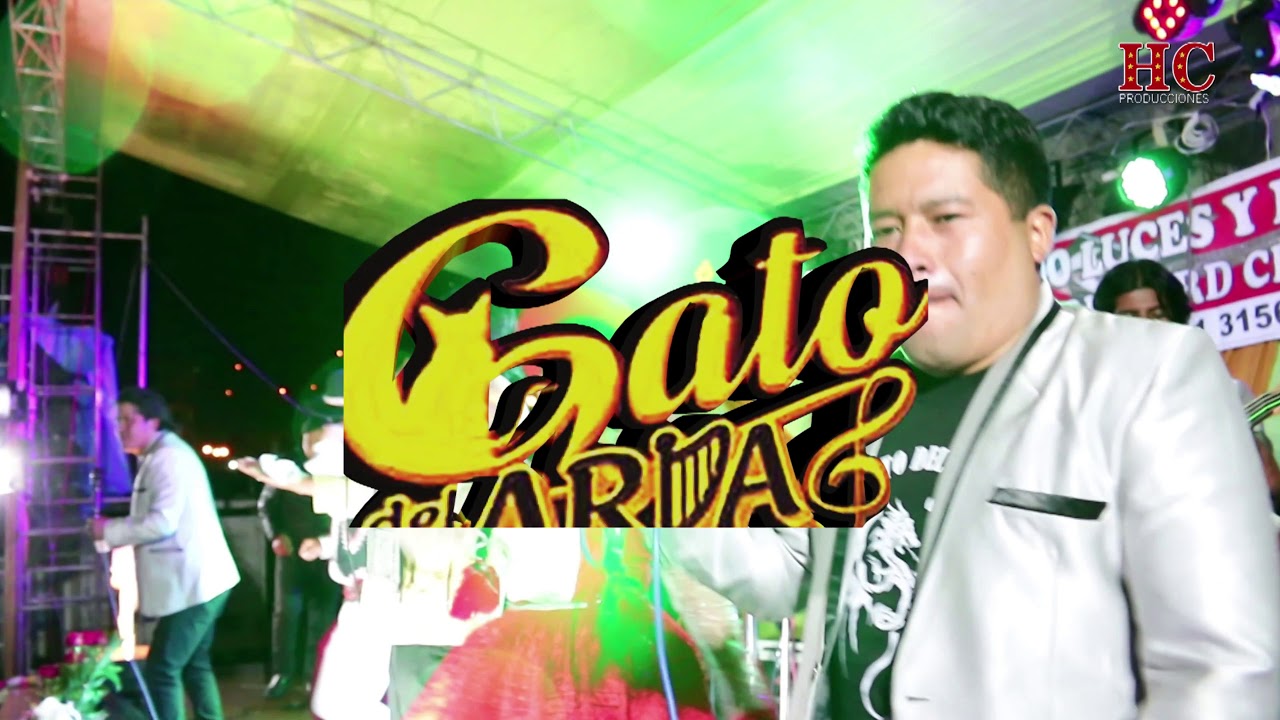Gato Del Arpa - Chiririnkacha / Videoclip Oficial 2020 (Huayno Perú)