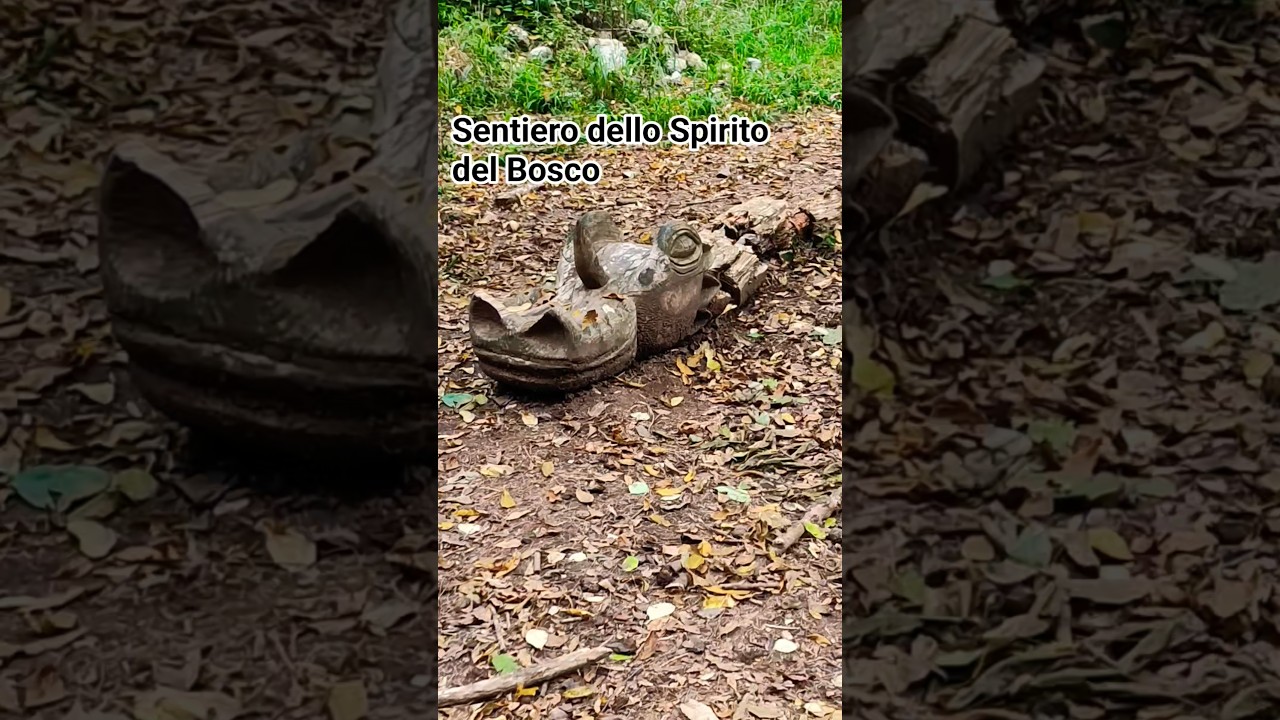 Sentiero dello Spirito del Bosco #trending #shortsfeed #youtubeshorts #travelshorts  #indianvlogger