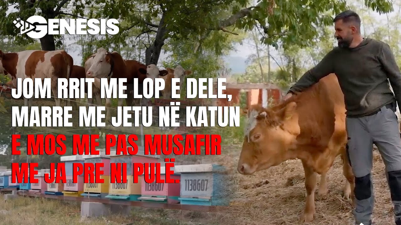 Jom rrit me lop e dele, marre me jetu në katun e mos me pas musafir me ja pre ni pulë.