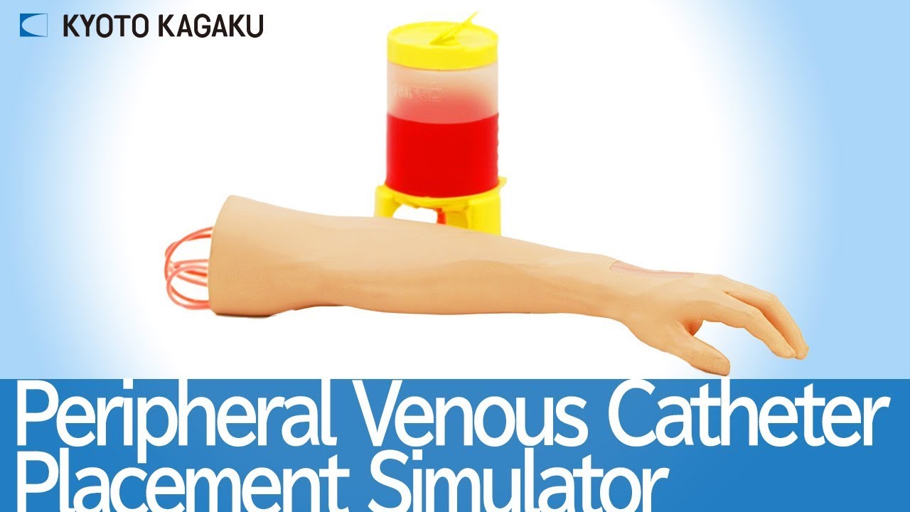 MW9 Peripheral Venous Catheter Placement Simulator