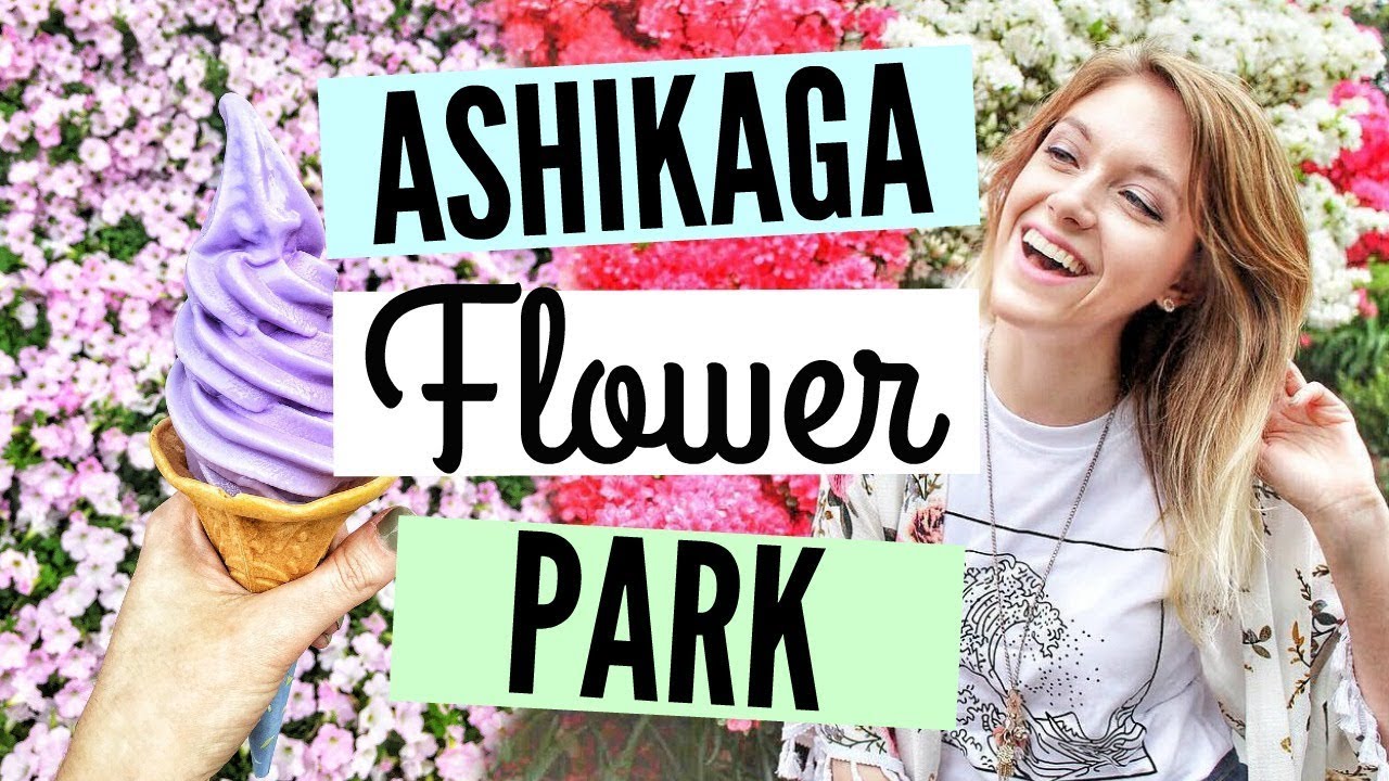 TOCHIGI JAPAN DAY TRIP// ASHIKAGA FLOWER PARK - THE MOST BEAUTIFUL WISTERIA IN THE WORLD