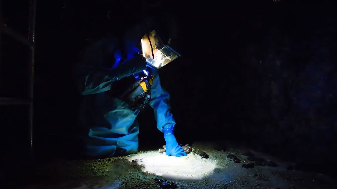化粪池里捞出一具男尸，尸体被有害物质腐蚀，掉进粪池里时还活着，悬疑片