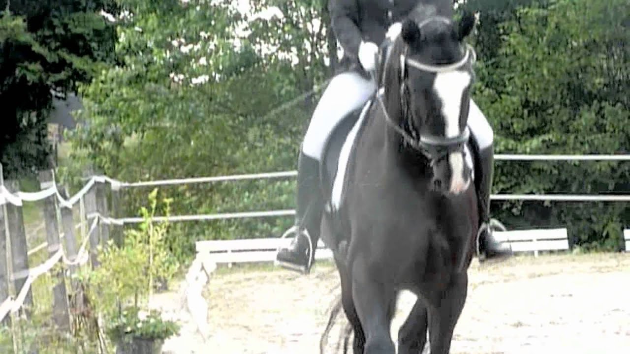 just don't give up .. Turniersaison 2 0 1 3 ☼