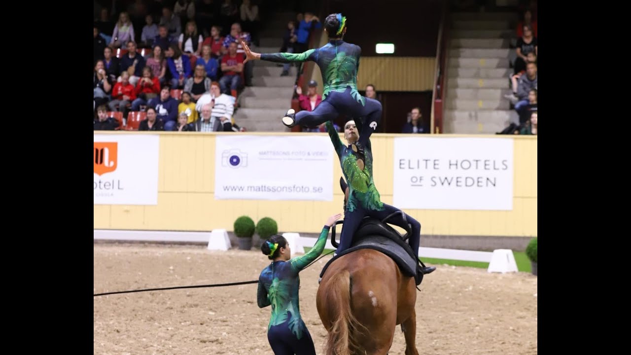 Equipe Brasileira de Volteio - Mundial Junior 2023 - Flyinge (SWE)