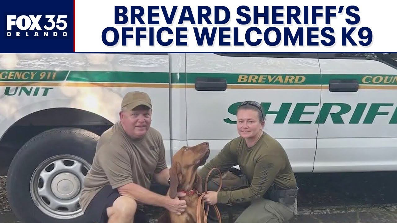 Brevard County sheriff&rsquo;s office welcomes new bloodhound to help locate missing people