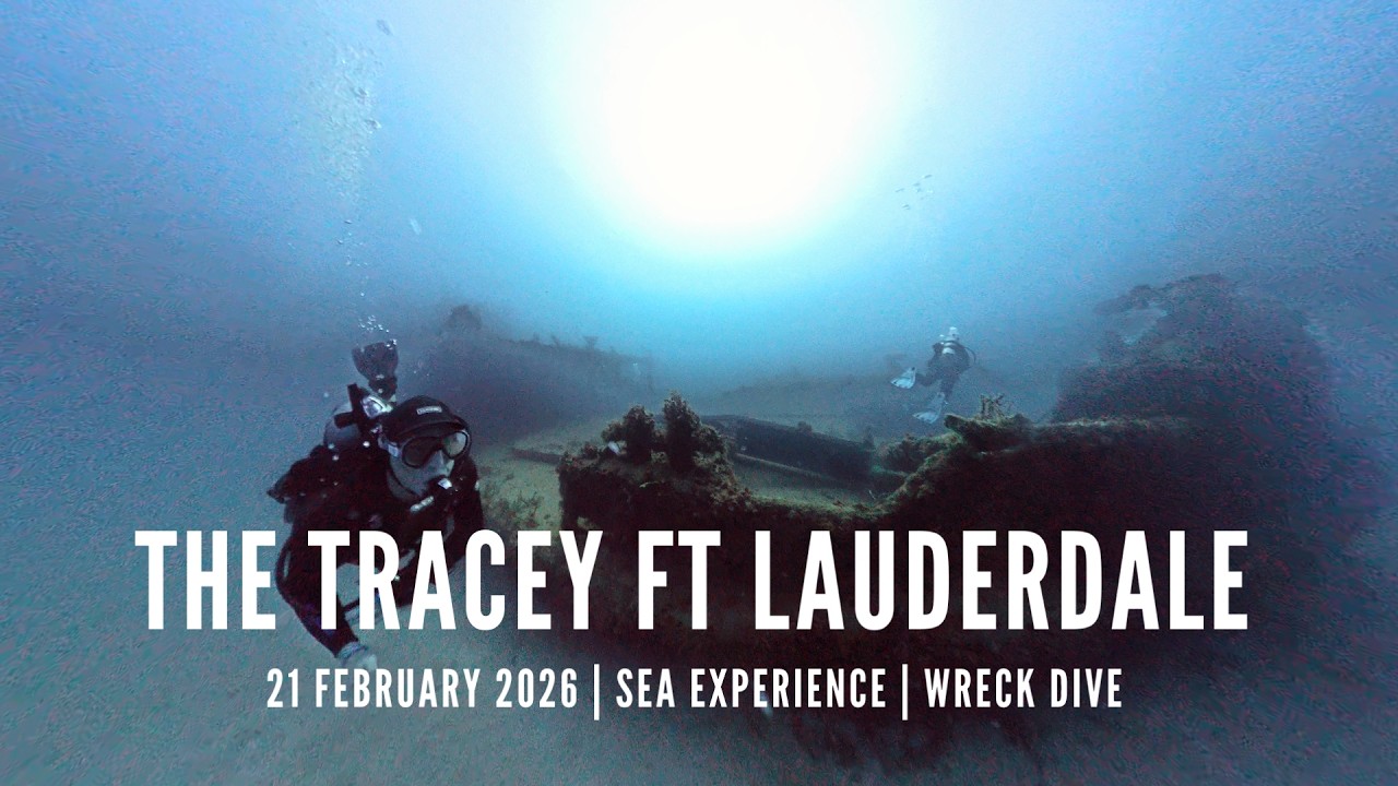 SCUBA DIVING THE TRACEY WRECK - FT LAUDERDALE FLORIDA - 21 FEB 2026 - w/SEA EXPERIENCE - INSTA360 x4