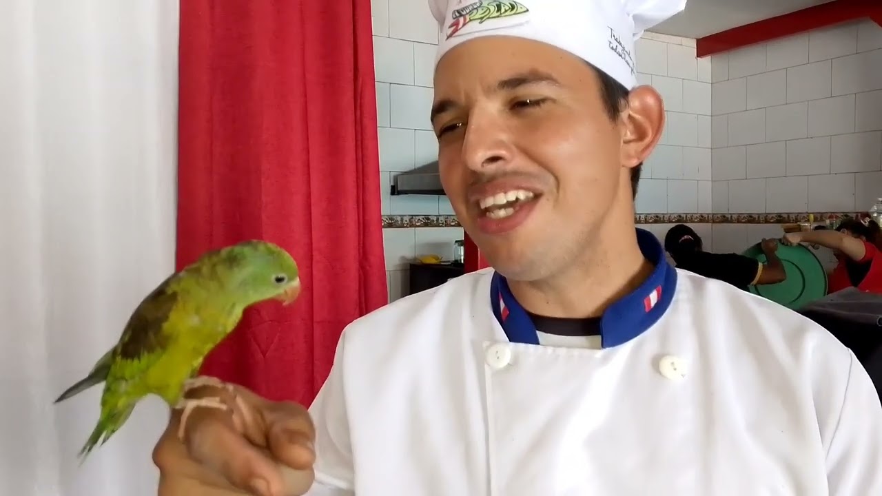 REALITY CAPITULO 1 EN CHIFA REY FUSION 🇻🇪🇵🇪🙏 ACOMPAÑADO DE CHEFSITO🔥 #peru #venezolanos #peruzolanos