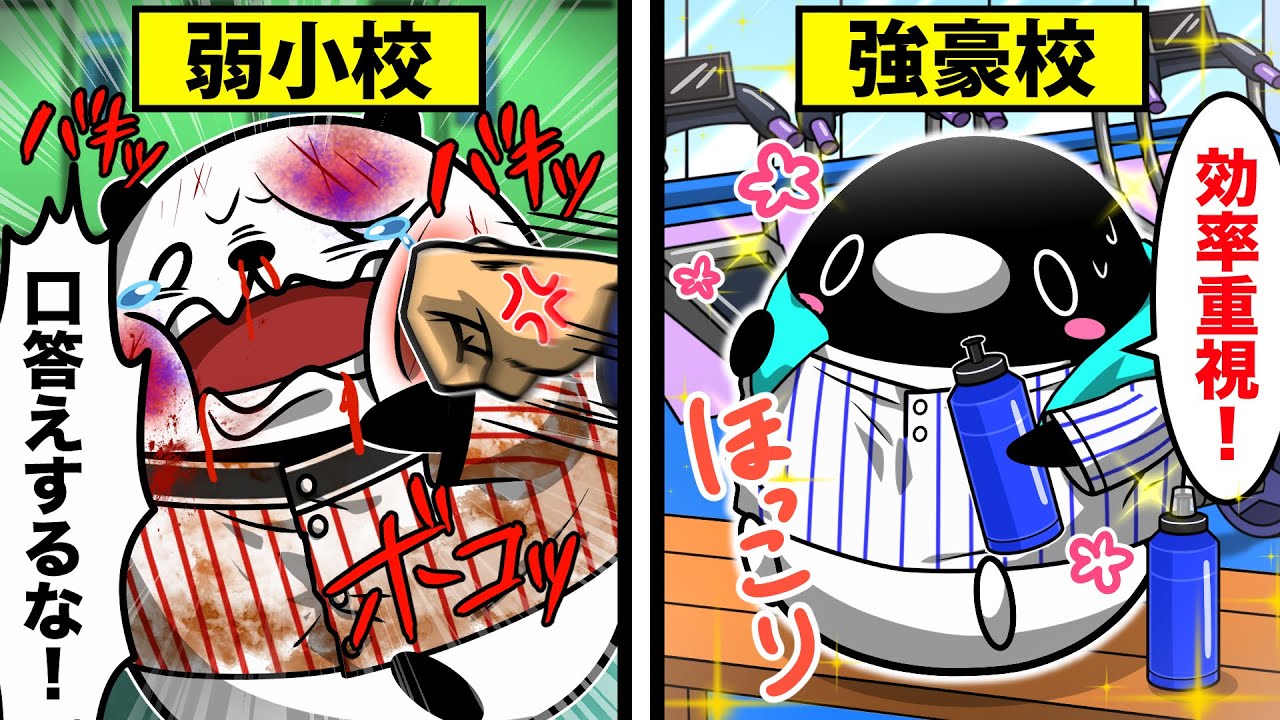 超強豪の野球部に入るとどうなるのか？弱小校との違い【アニメ】
