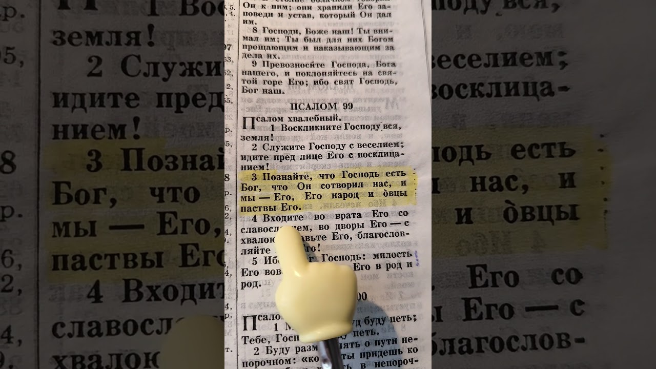 11 марта 2026 г.