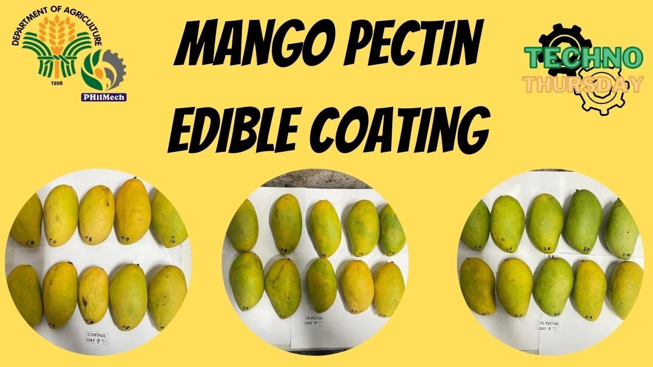 Techno Thursday:  PHilMech Mango Pectin Edible Coating