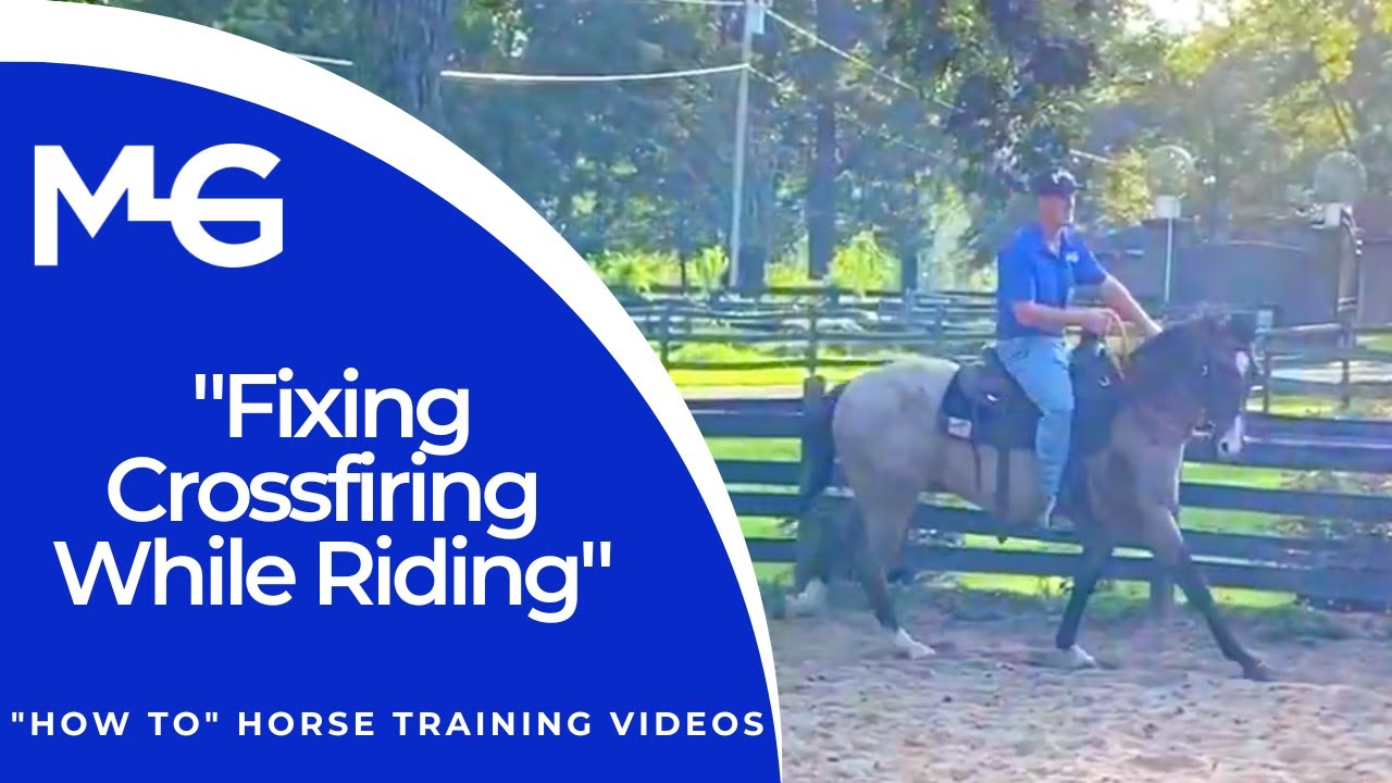Fixing Crossfiring While Riding | The Horse Guru - Michael Gascon