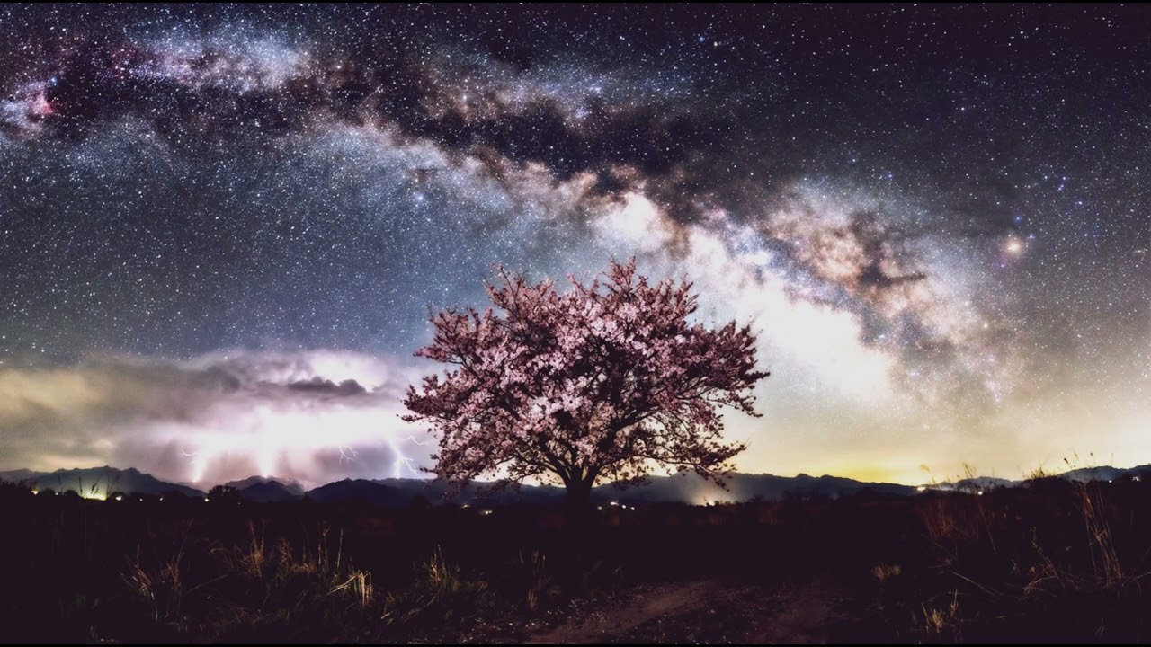 Leanwen Vallatar & Warg &mdash; Цикады