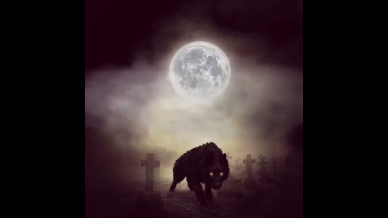 Ночная поездка к Дубу Оборотней