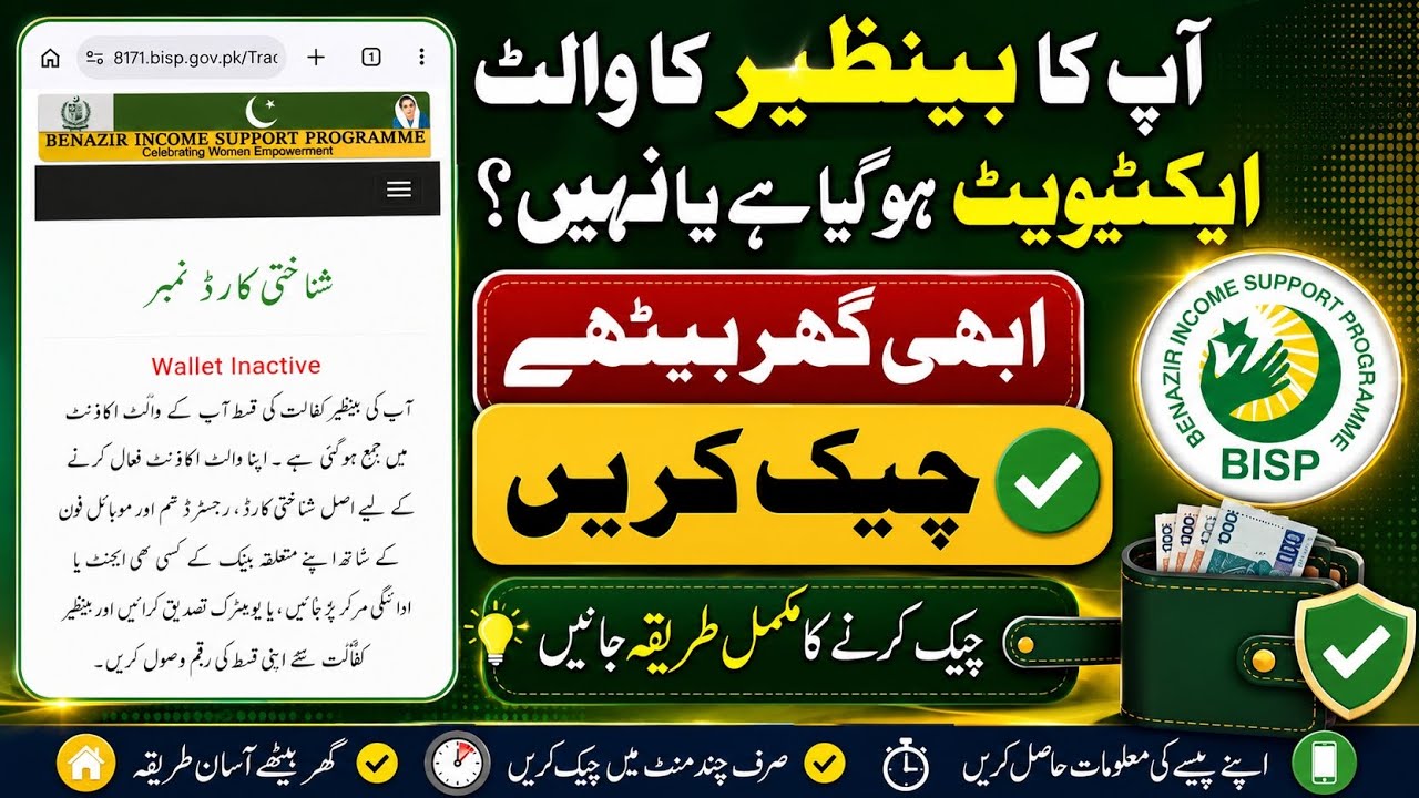 Bisp Wallet Inactive Problem | Bisp Wallet Inactive | Wallet Inactive 