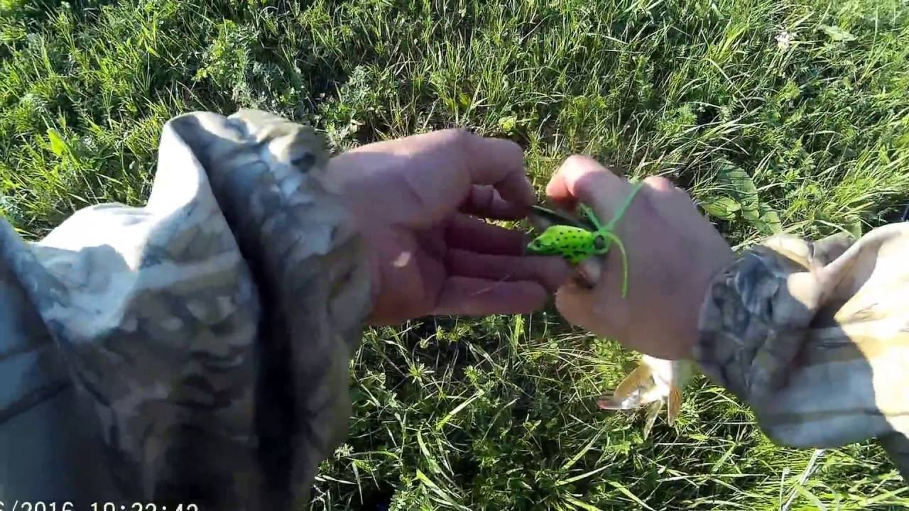 Видеокаталог
