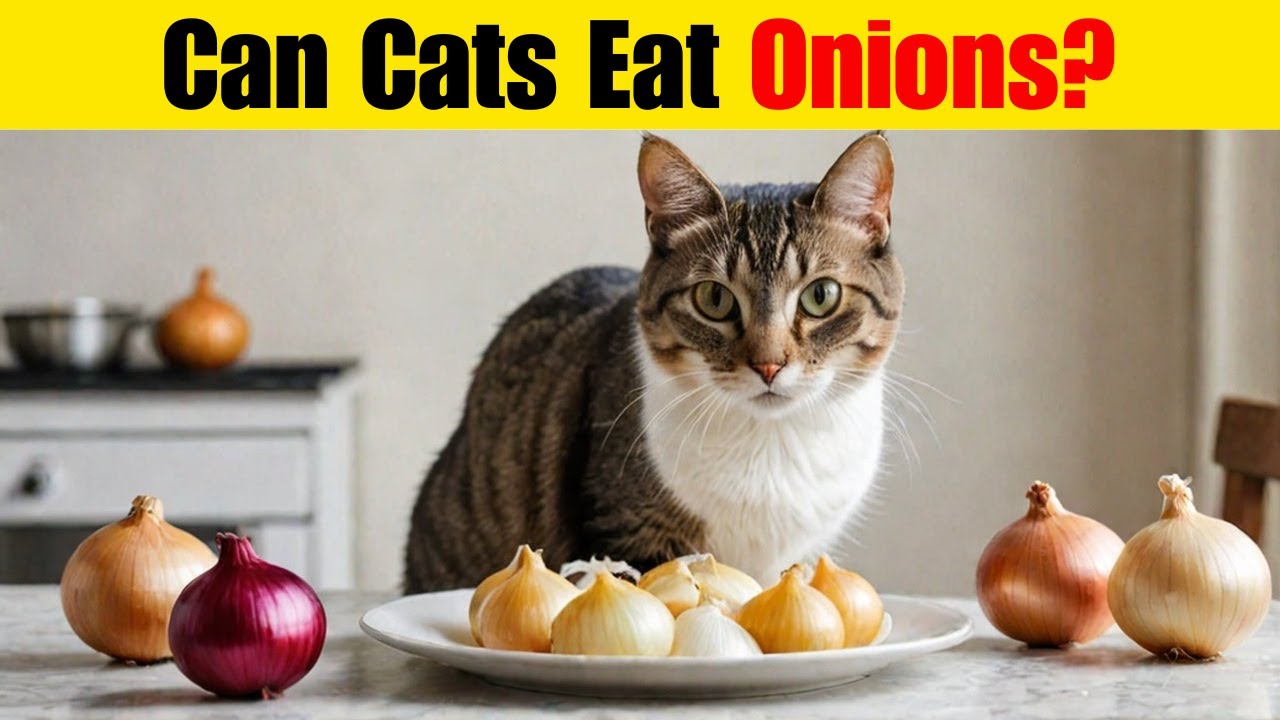 Can Cats Eat Onions? The Surprising Truth!