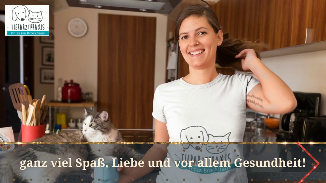 💫 Weihnachtsgrüße der Tierarztpraxis Dr. Tessa Brockhaus in Hattingen ✨