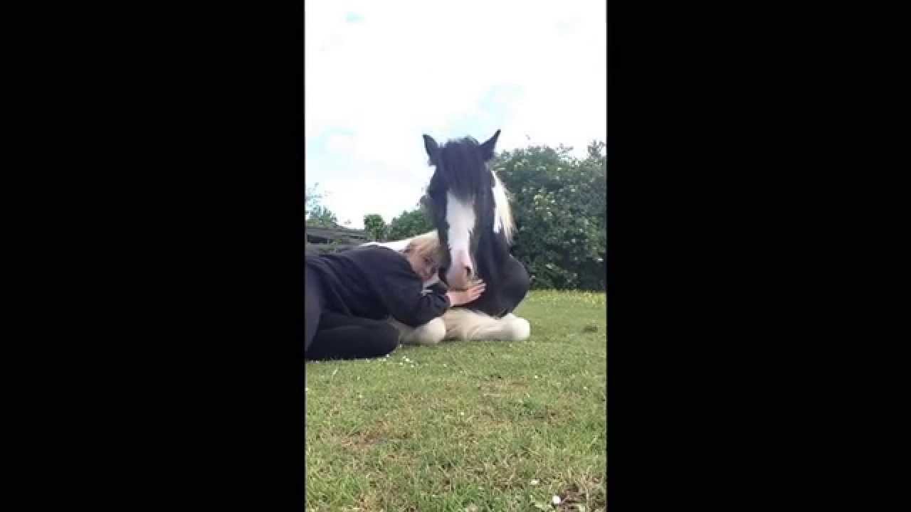 I miss my boy . Lovely cuddles