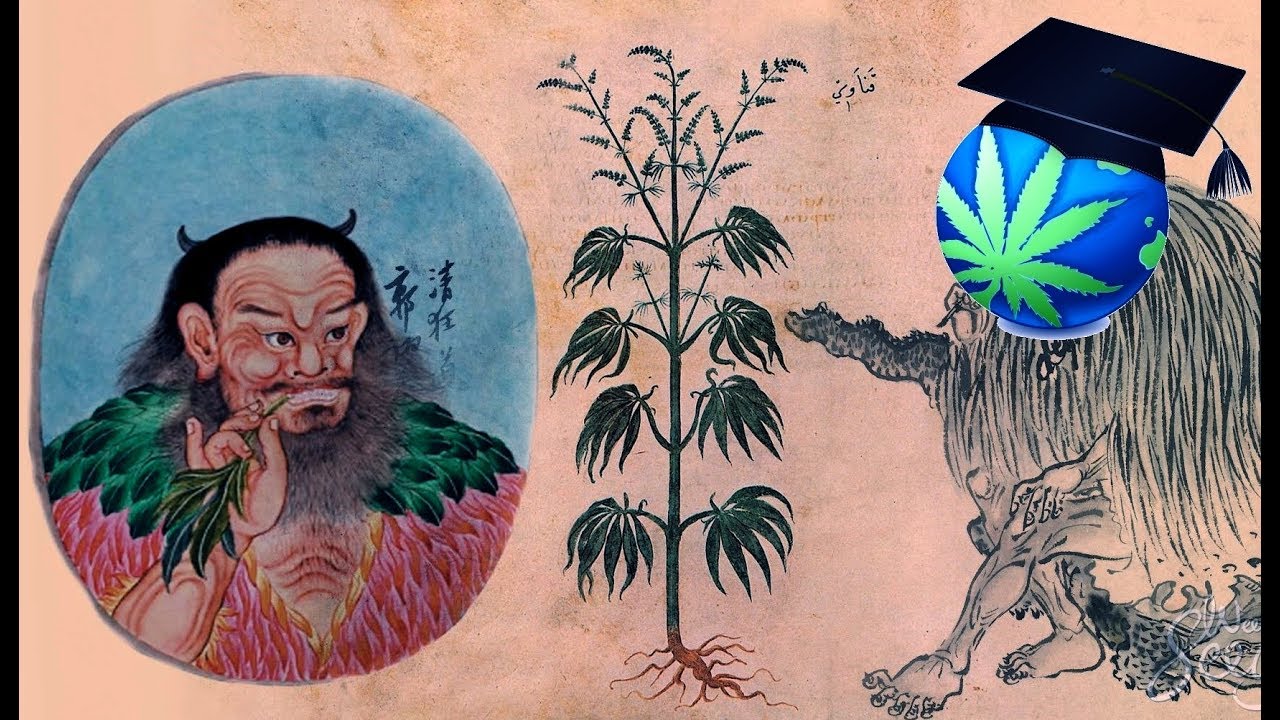 How Long Have Humans Used Cannabis? - Pre-Prohibition History Summary