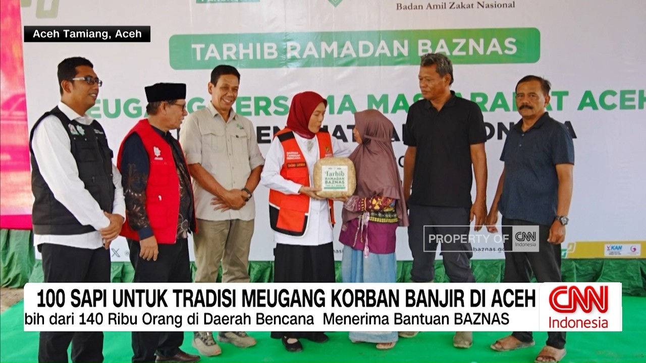 100 Sapi Disalurkan untuk Tradisi Meugang Warga Aceh Tamiang