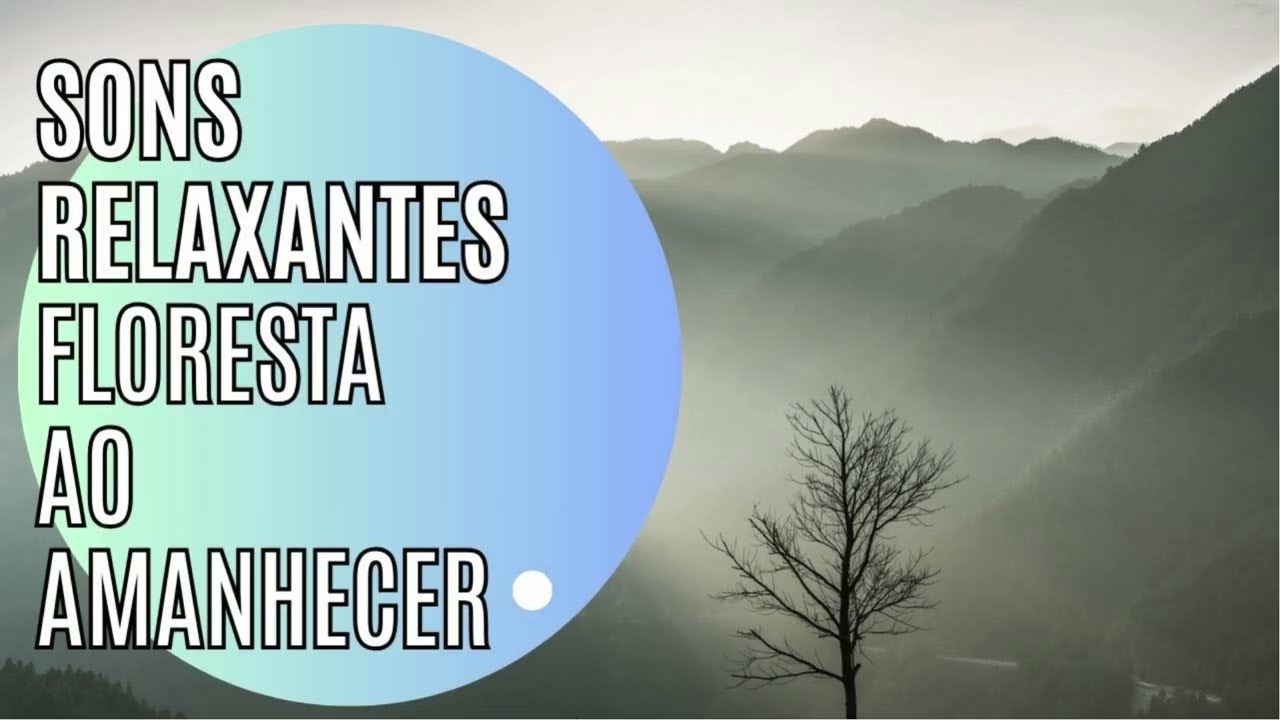 MÚSICA RELAXANTE FLORESTA AO AMANHECER | Paz, Meditação e Concentração
