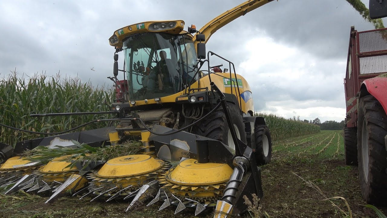 Mais hakselen met New Holland FR9080 en 2 Massey Ferguson 7619 Dyna-6 door Loonbedrijf Rensen (2019)