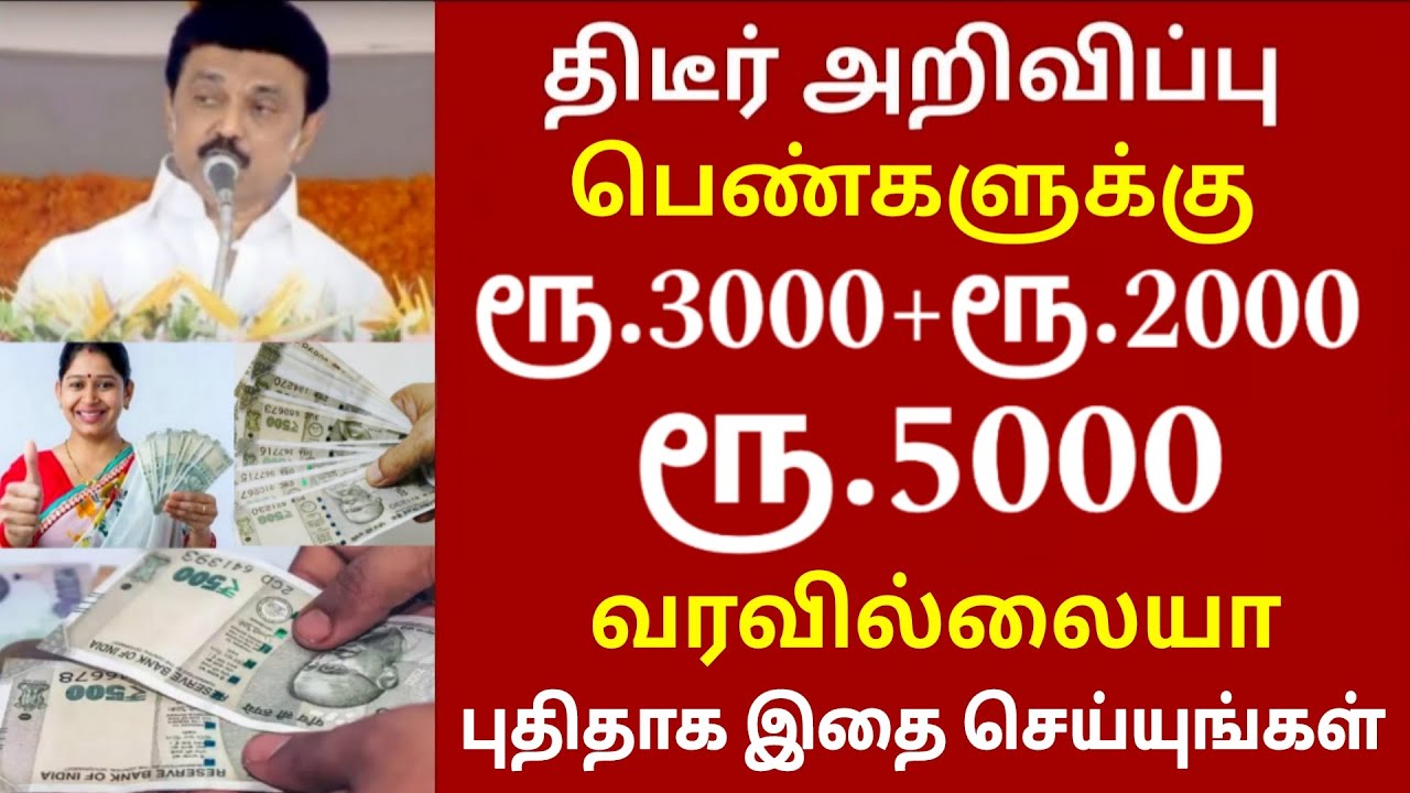 குடும்ப தலைவிக்கு மாதம் ரூபாய் 1000 | kudumba thalaivi ration card 1000 | kudumba thalaivi 1000 rupe