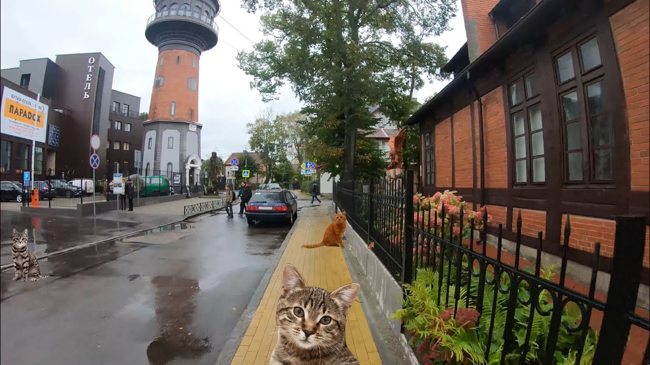 Walking in Zelenogradsk beach, Kaliningrad, Russia ⁴ᴷ⁶⁰ | Зеленоградск, Калининград.