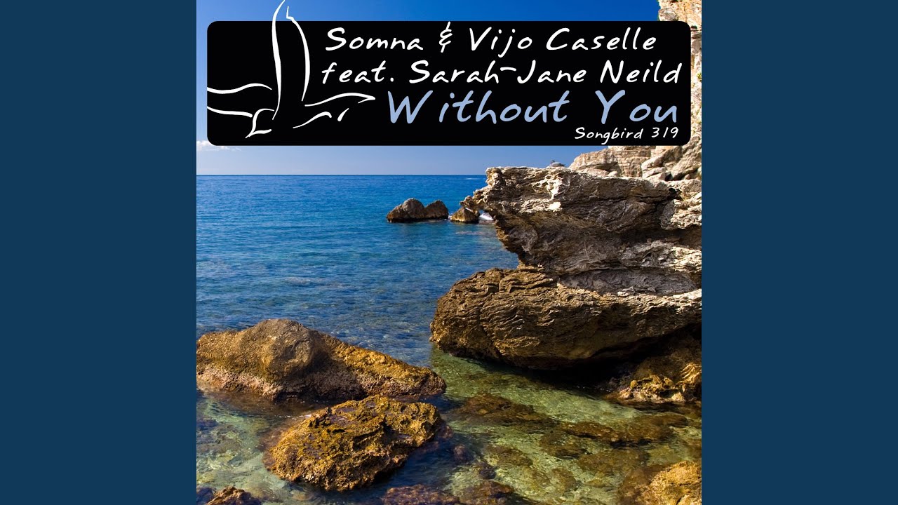 Without You (Akira Kayosa Remix)