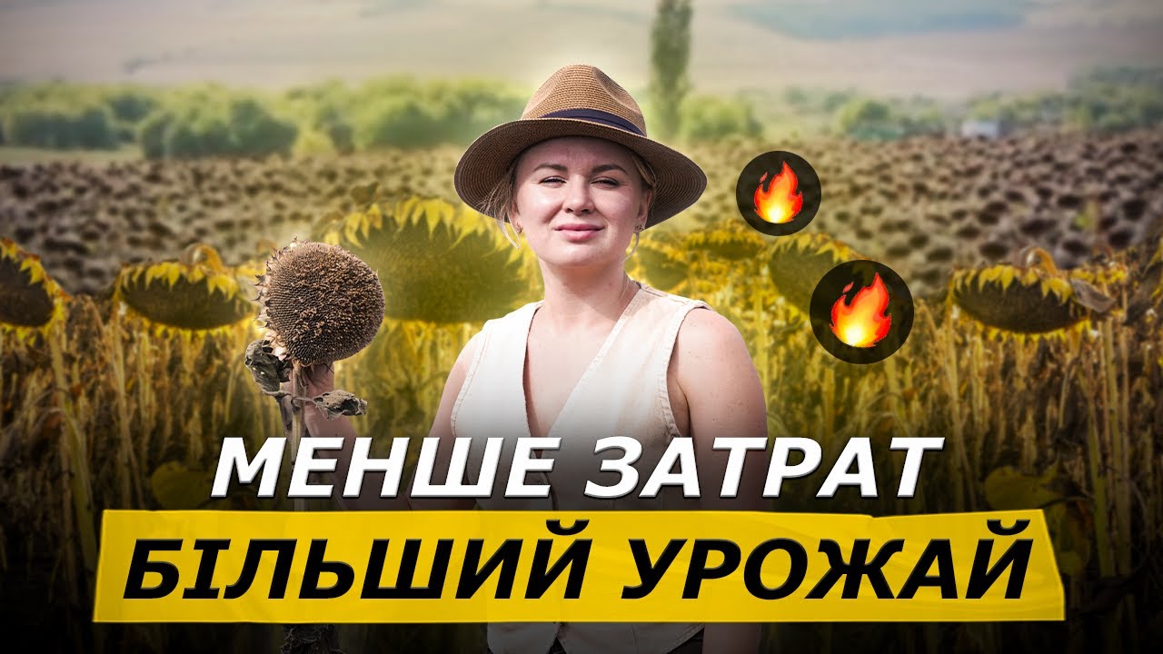 НАЙЛЕГША ТЕХНОЛОГІЯ ВИРОЩУВАННЯ СОНЯШНИКА!🤩  БІЛЬШИЙ УРОЖАЙ ПРИ МЕНШИХ ВИТРАТАХ