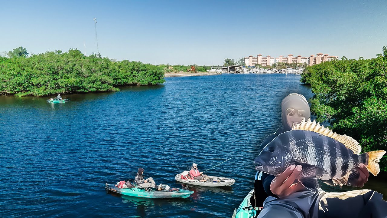 Fishing Florida Mangroves For Easy Dinner! Catch, Clean and Cook Sheepshead