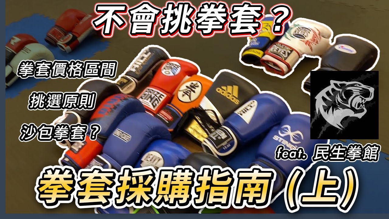 拳套購買指南 (上)  拳套價格區間、挑選原則、初階拳套推薦 & 介紹 feat. @MingShengBoxingClub