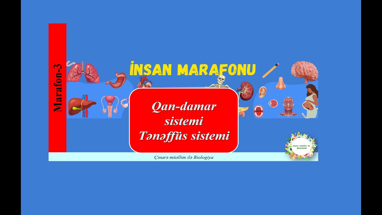 Marafon-2 (Qan və Tənəffüs)