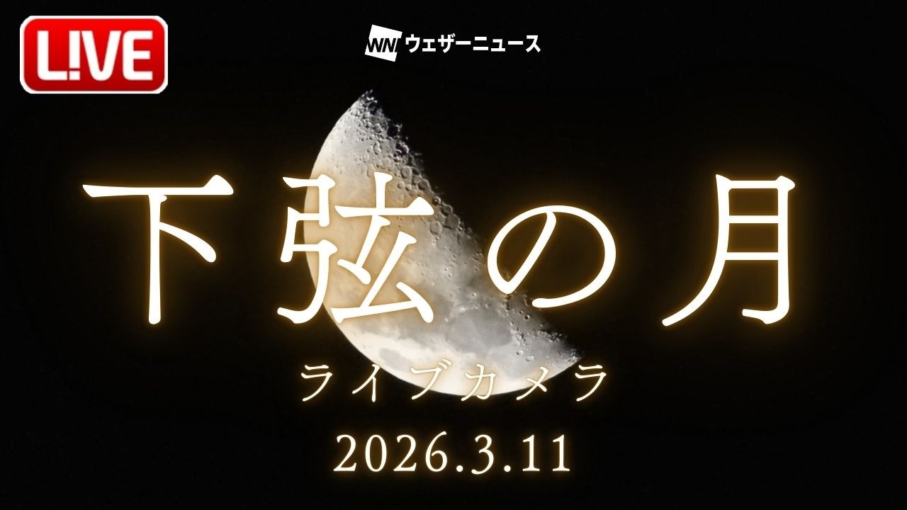 【ライブカメラ】下弦の月／千葉市海浜幕張〈ウェザーニュースLiVE〉2026年3月11日