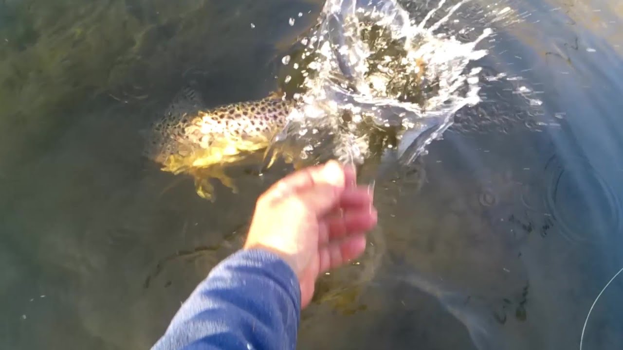 Me toreo una 🤷🏻‍♂️😅😅😅😅