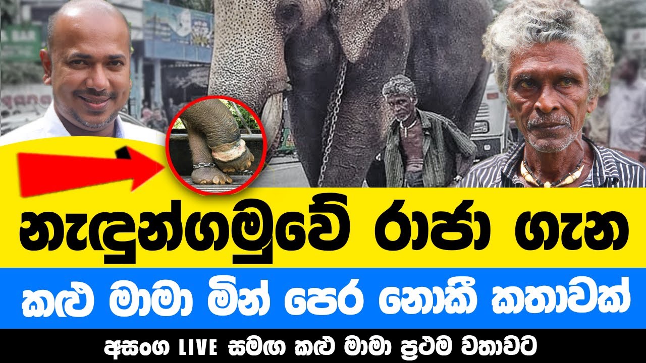 රටම කතා කල නැදුන්ගමුවේ රාජා ගැන කළු මාමා මින් පෙර  නොකී කතාවක්  lඅසංග Live සමග කළු මාමා ප්‍රථම වතාවට
