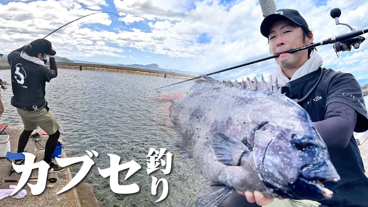 新作かぶせ専用ロッドで堤防の石鯛を釣る【剛覇210】