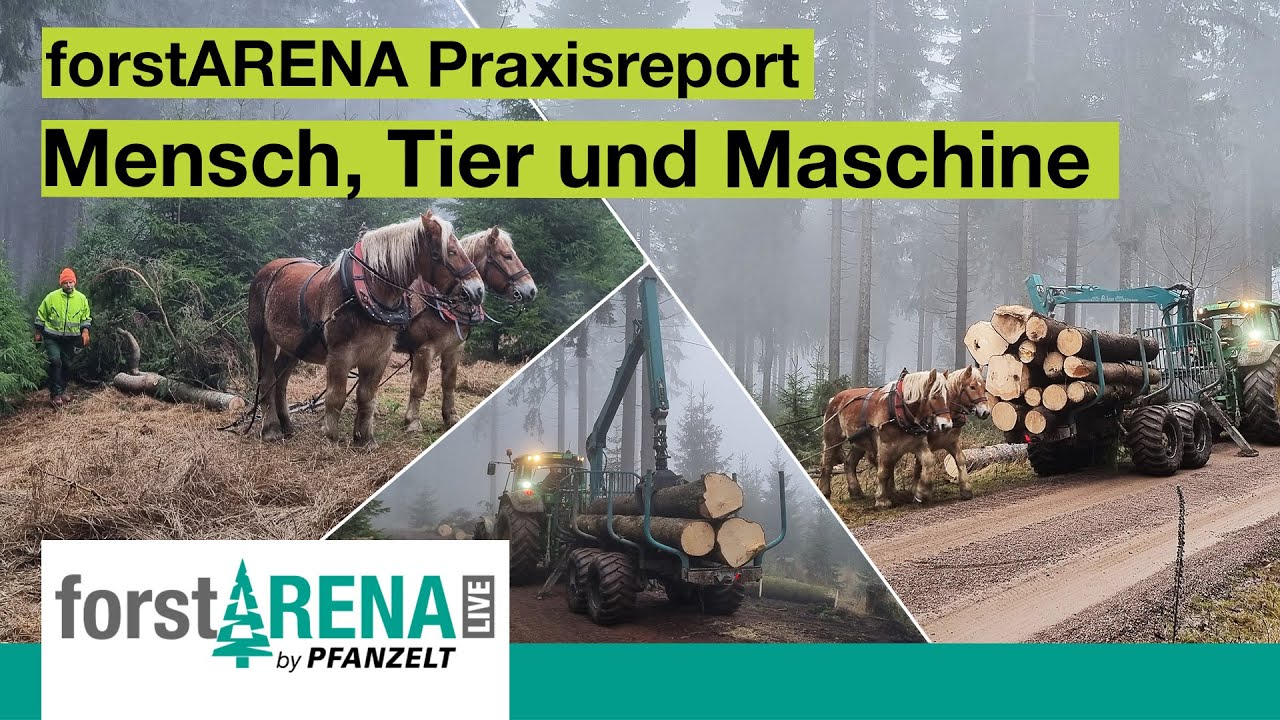 Dokumentation 2023 Holzrücken mit Pferd und Pfanzelt Rückewagen P15 | forstARENA Praxisreport