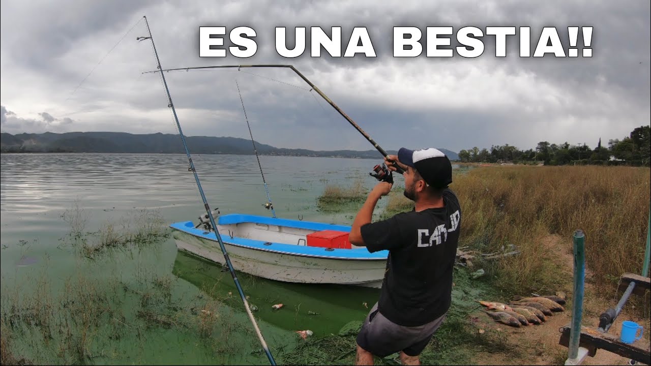 ESTE PEZ GIGANTE LE QUEBRO LA CAÑA🤯~ pesca en un dique ~ carpas