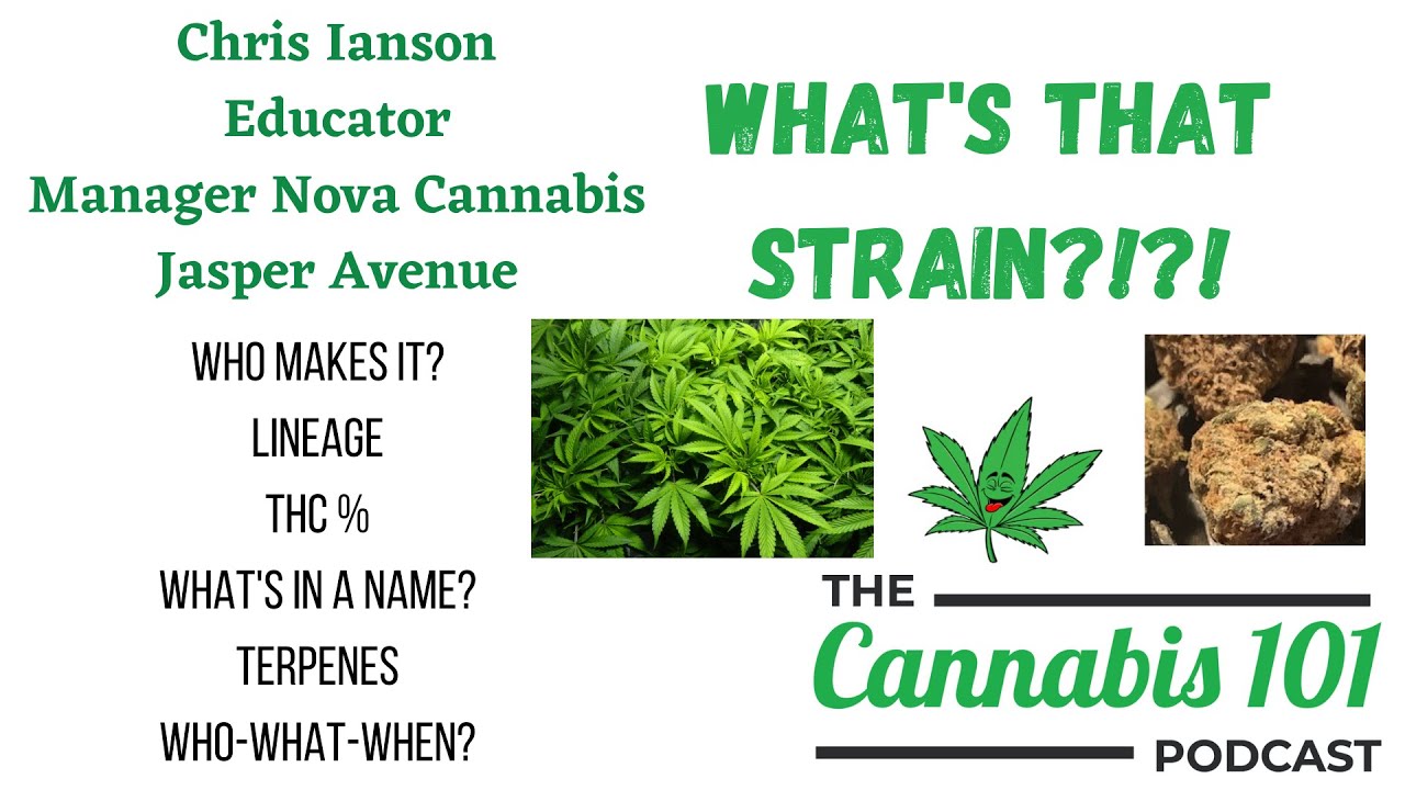 What's That Strain?!?! Cake Crasher #1 from Joi Botanicals