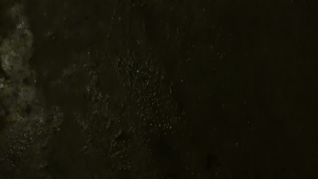 ١٣ فبراير، ٢٠٢٦